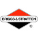 Двигатели Briggs-Stratton в Калининграде